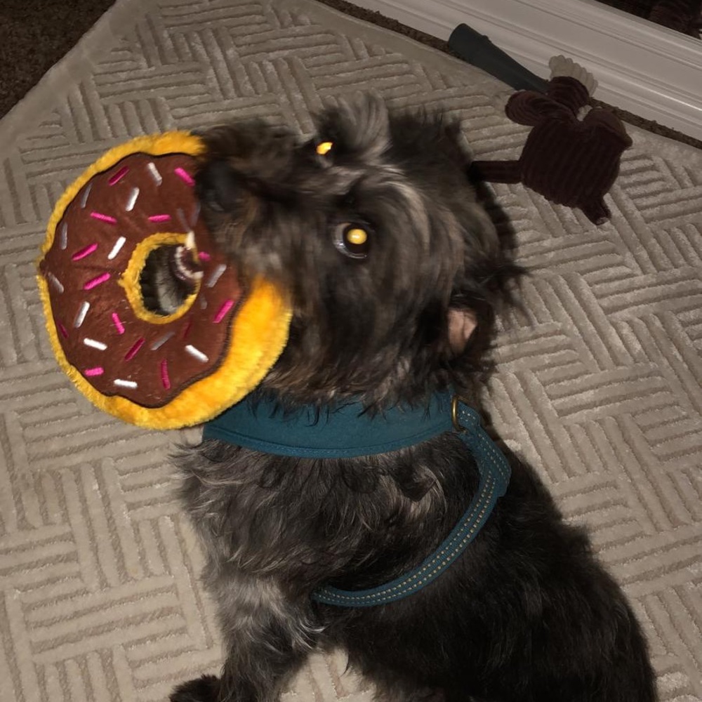 Meet your Posher, Bianca